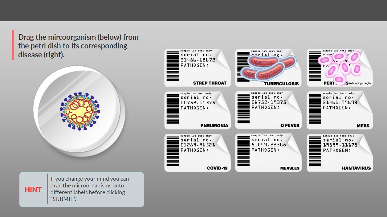 A game interaction where the user has to drag the correct microorganism to it's corresponding laboratory label