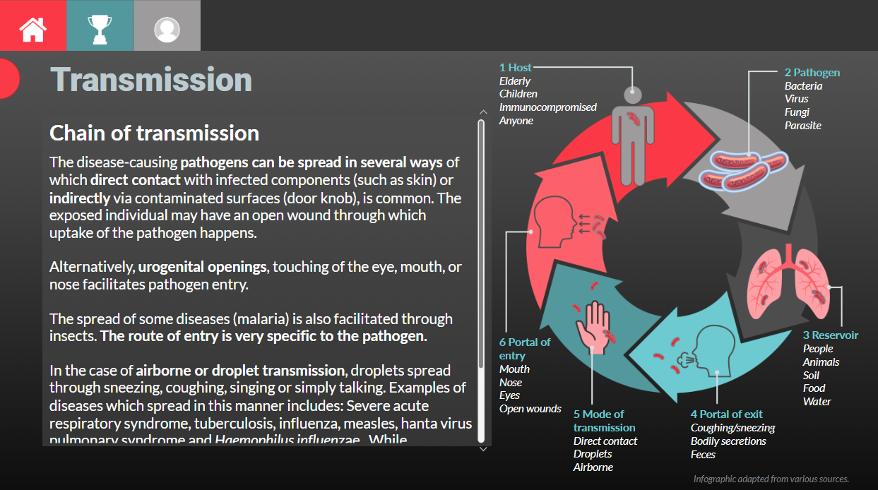 gamified interaction of building a wall against a pathogen